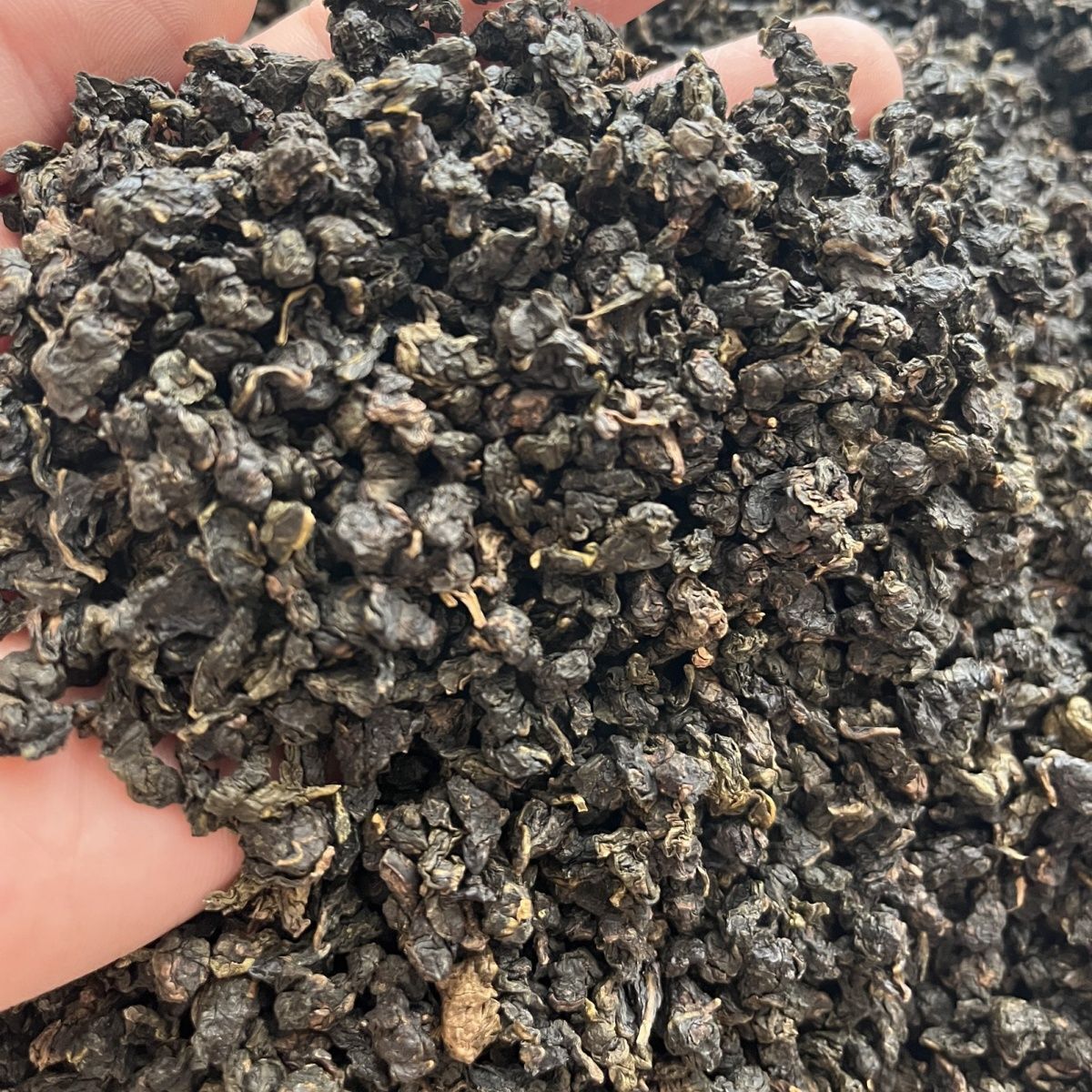 Carbon Bake Bai Ya Qi Lan Fujian Pinghe Oolong Tea Qilan Baiyaqilan Tea