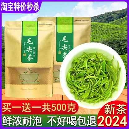 Xinyang Maojian 2024 Green Tea loose-leaf tea Authentic rain Spring Tea 500g