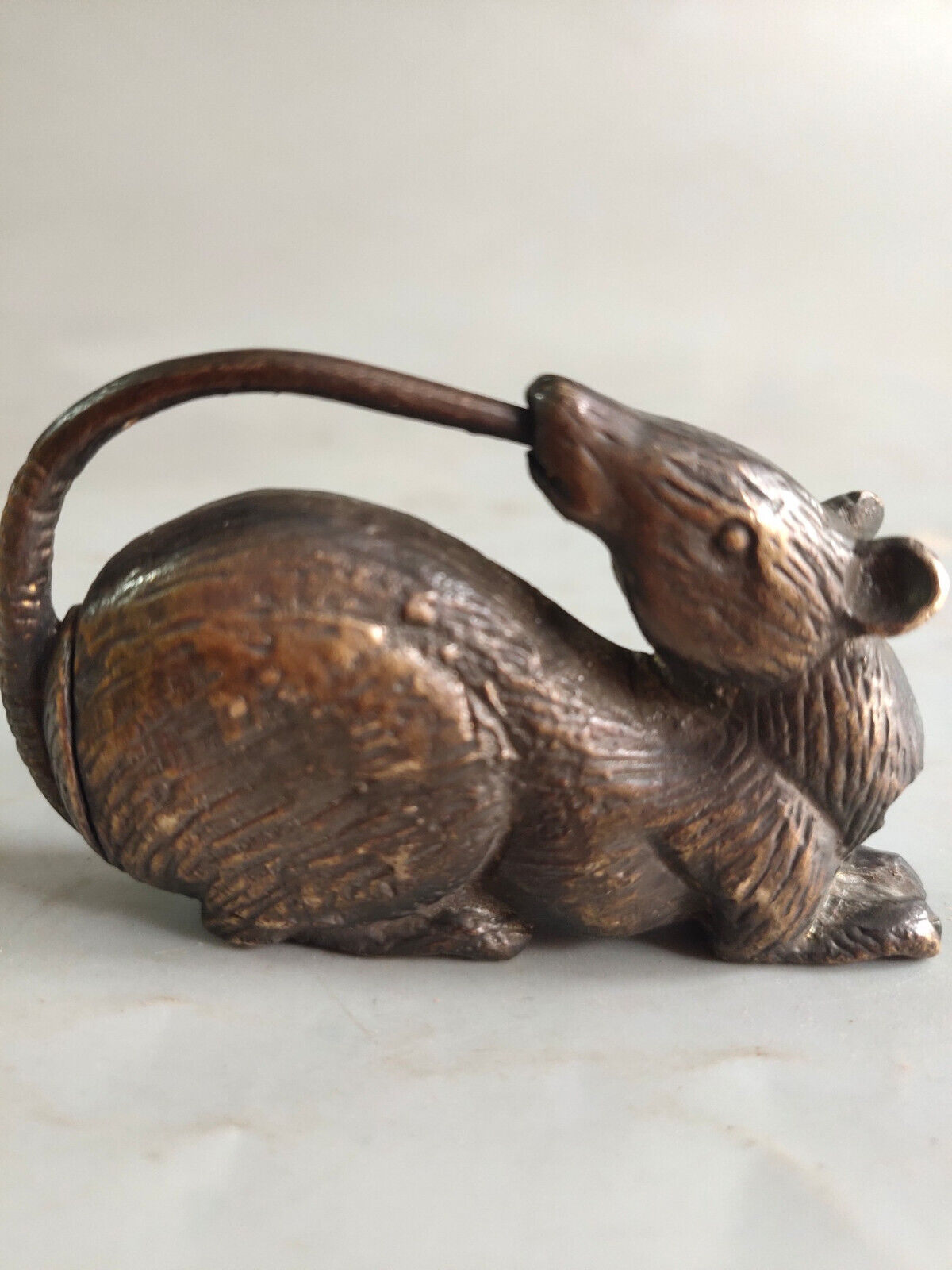 Early Collection of Mouse Old Locks in Ancient China