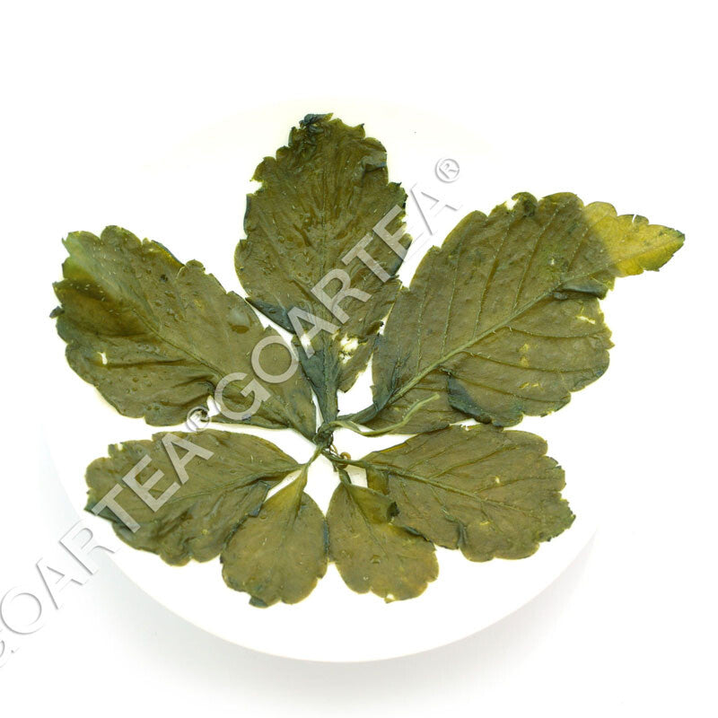 GOARTEA 250g Premium Jiaogulan Tea Gynostemma Pentaphyllum Herbal Tea Green Tea-