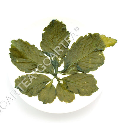 GOARTEA 250g Premium Jiaogulan Tea Gynostemma Pentaphyllum Herbal Tea Green Tea-