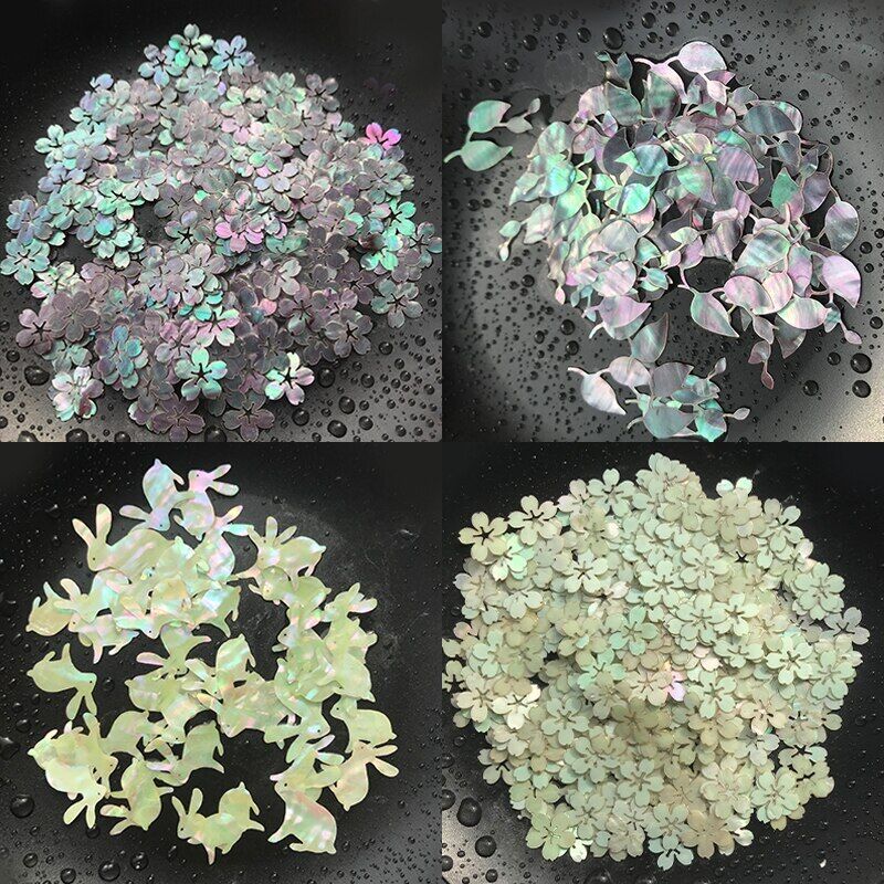 Natural Shells Multiple Mother of Pearl Conch Coquillage Beach Decor Craft 1 Lot