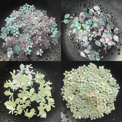 Natural Shells Multiple Mother of Pearl Conch Coquillage Beach Decor Craft 1 Lot