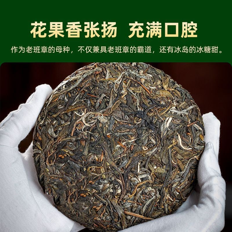 100g Pu'er Tea, 2026 Pasha First Spring Single-source Raw Pu'er Tea Cake