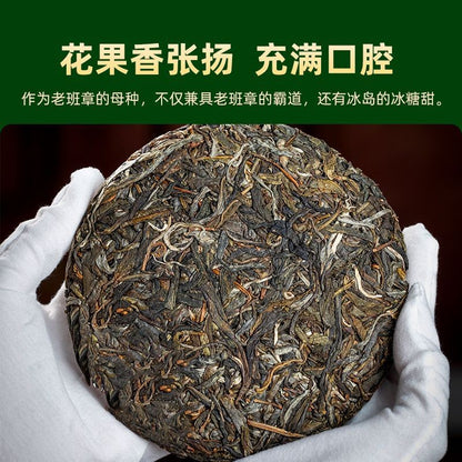 100g Pu'er Tea, 2026 Pasha First Spring Single-source Raw Pu'er Tea Cake