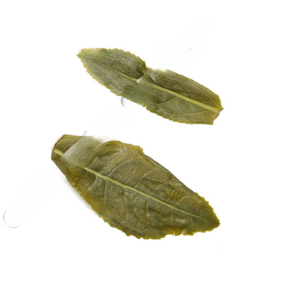 HELLOYOUNG 100g/3.52oz Supreme Melon Slice LiuanGuapian Spring Green Tea Organic