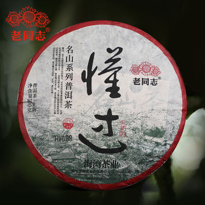 2022 Haiwan Sheng Puer Tea Dong Guo Village Ancient Tree Raw Puerh Tea 500g