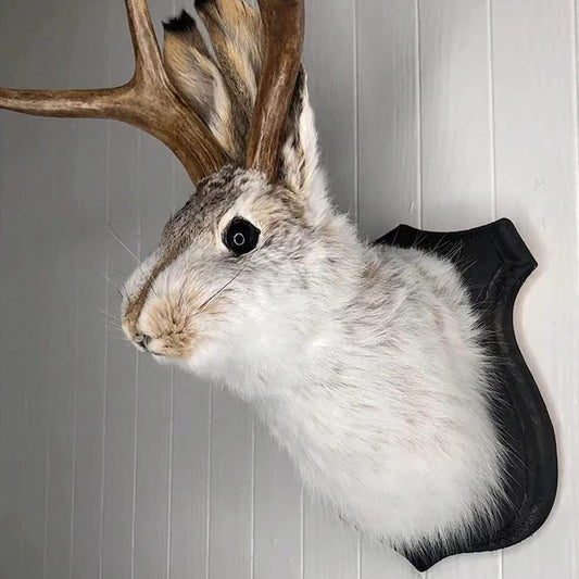 Statue Wall Mount Rabbit Head Hang Sculpture Animal Home New 2023 :))))