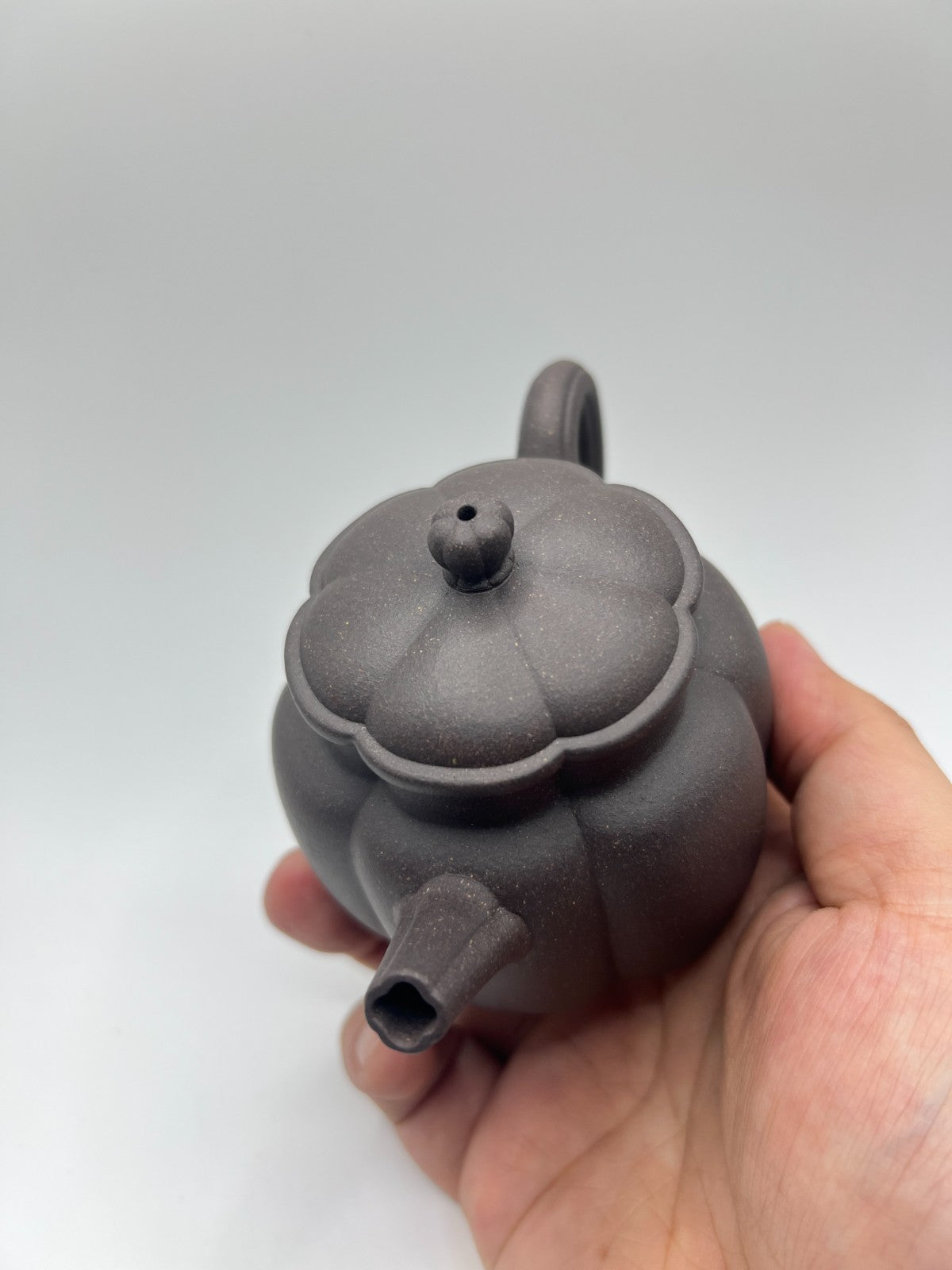 150cc chinese Yixing Handmade Zisha teapot TianQing clay FanHua Gongfu Tea pot