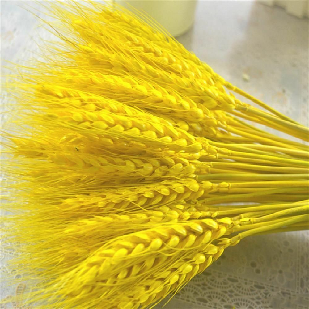 50Pcs/Lot Dried Wheat Ear Flowers Bouquet Decor Natural Pampas Rabbit Tail Grass