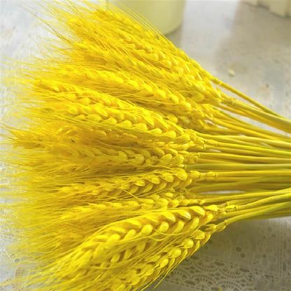 50Pcs/Lot Dried Wheat Ear Flowers Bouquet Decor Natural Pampas Rabbit Tail Grass