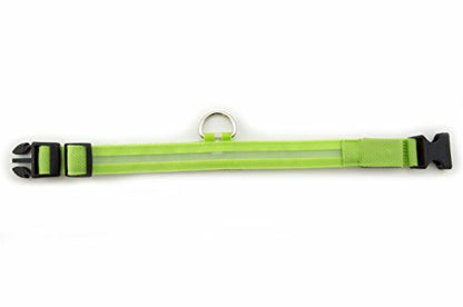 Green Light-Up LED Adjustable Pet Collar - Flashing or Steady Modes