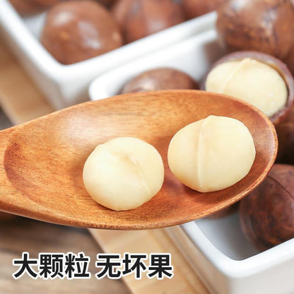 Macadamia Nuts Snacks Creamy Flavor 100g Casual Dried Fruits Healthy Snack