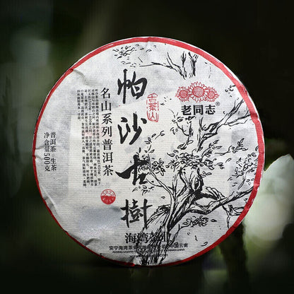 Haiwan Pa Sha Ancient Tree Puer Tea Aged Tree Sheng Puerh Tea 500g