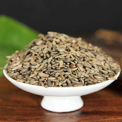 Organic Herbal Great Burdock Achene Fructus Arctii Arctium Lappa Great Quality