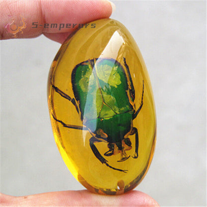 Beautiful Amber beetle Fossil Insects Manual Polishing .