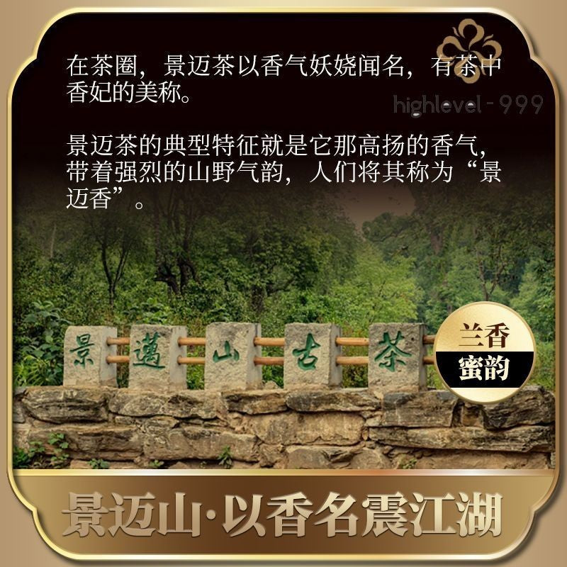 370G 2024 Jingmai Raw Pu Erh Spring Loose Tea Yunnan Gupu Ercha -