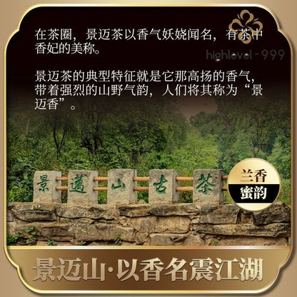 370G 2024 Jingmai Raw Pu Erh Spring Loose Tea Yunnan Gupu Ercha -