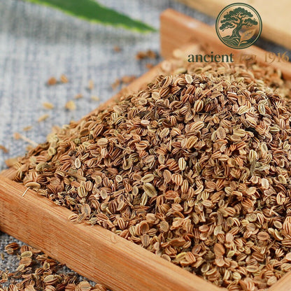 500g Premium Natural Cnidium Shechuangzi Healthy Herbal Tea Chinese Herb