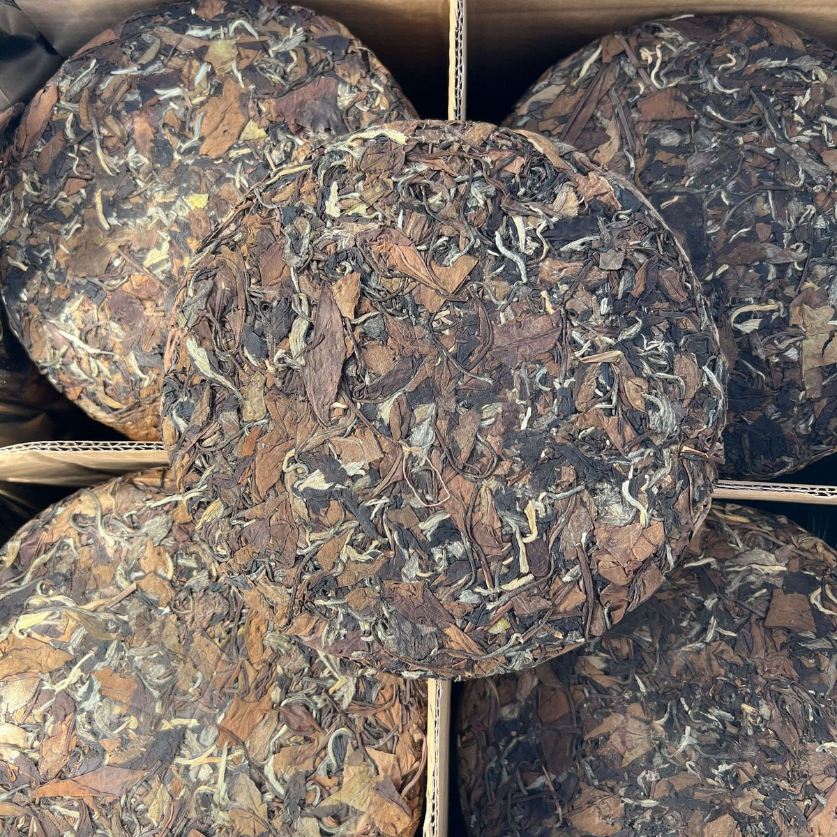 350g White Tea Cake Fuding 2016 Aged Mountain Shoumei Gongmei Jujube Leaf Tea