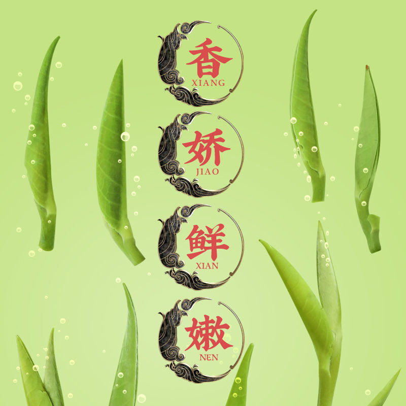 Queshe(sparrow-tongue) Tea New Tea Mingqian Green Tea High Mountain Green Buds