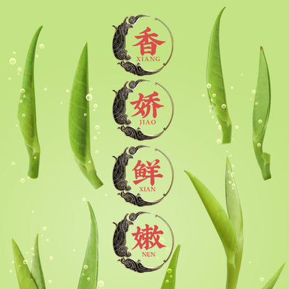 Queshe(sparrow-tongue) Tea New Tea Mingqian Green Tea High Mountain Green Buds