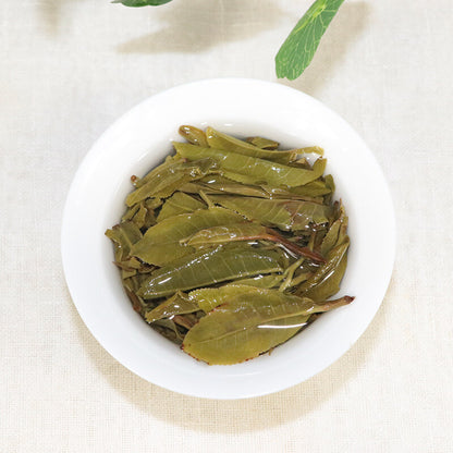 2021 Yunnan Lincang Big Snow Mountain Big Tree Spring Puer Pu'er Tea Raw 357g