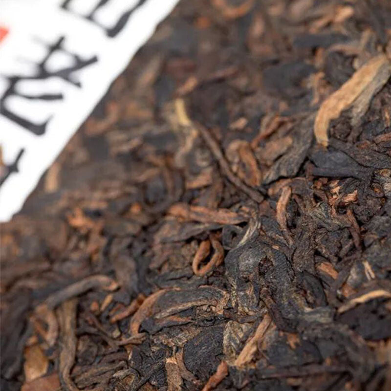 Haiwan 2023 Shu Puer Batch 231 "Remote Mountain, Old Tree" Ripe Puerh tea 500g