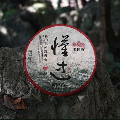 2022 Haiwan Sheng Puer Tea Dong Guo Village Ancient Tree Raw Pu-erh Tea 500g