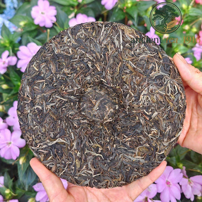 357g 2024 Ban Zhang Yunnan Raw Tea Menghai Ancient Tree Pu Erh Tea Cake
