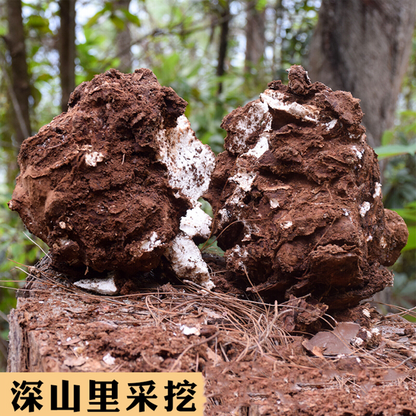 500g Natural Herbal Tea Poria Cocos Used for Organic Soup Porridge Health Care