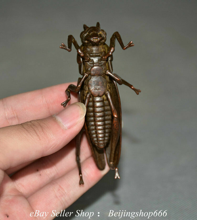 3.4" Exquisite Old Chinese Red Bronze Insect Locust Wing Statue Sculpture