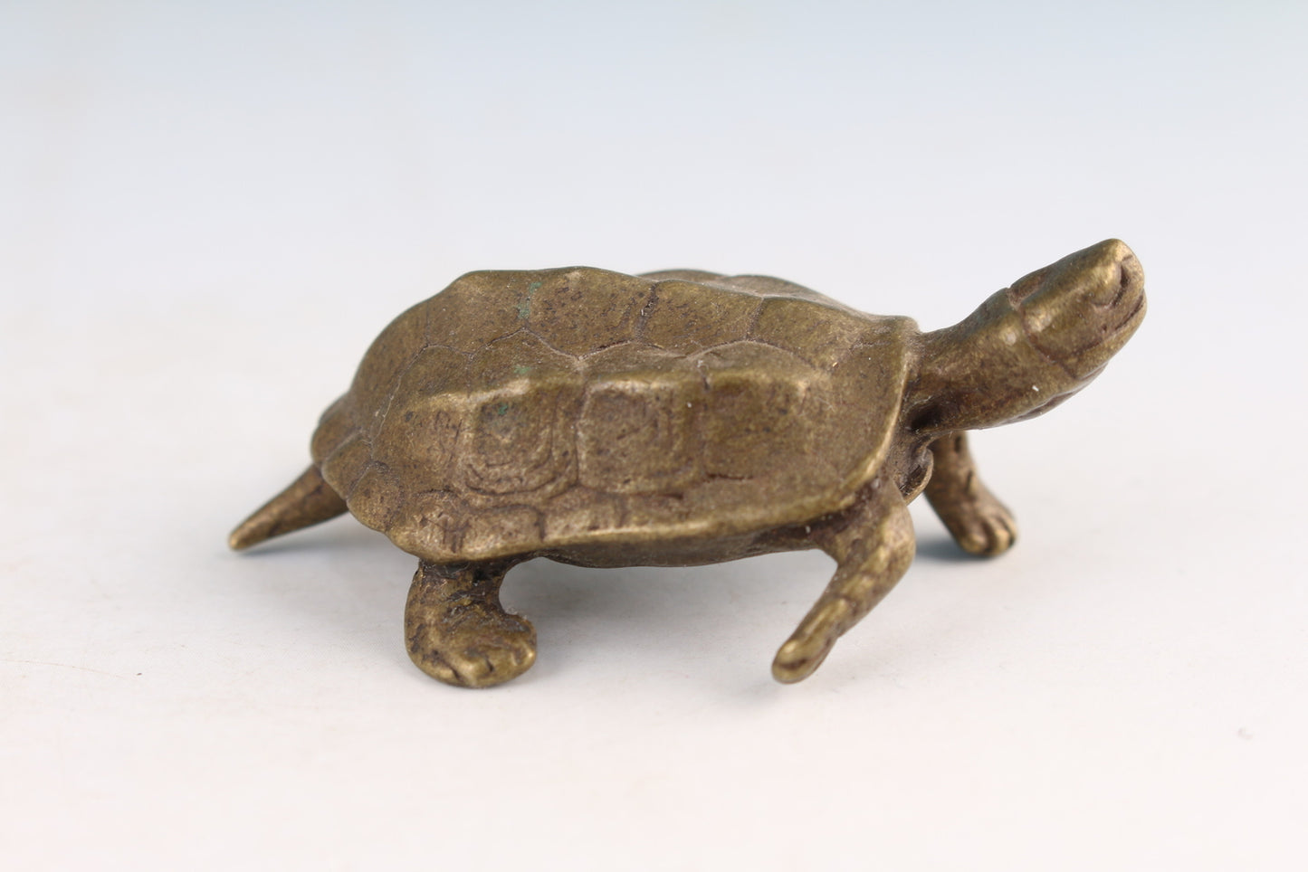 Chinese bronze hand casting turtle tortoise statue collectable figure tea pet