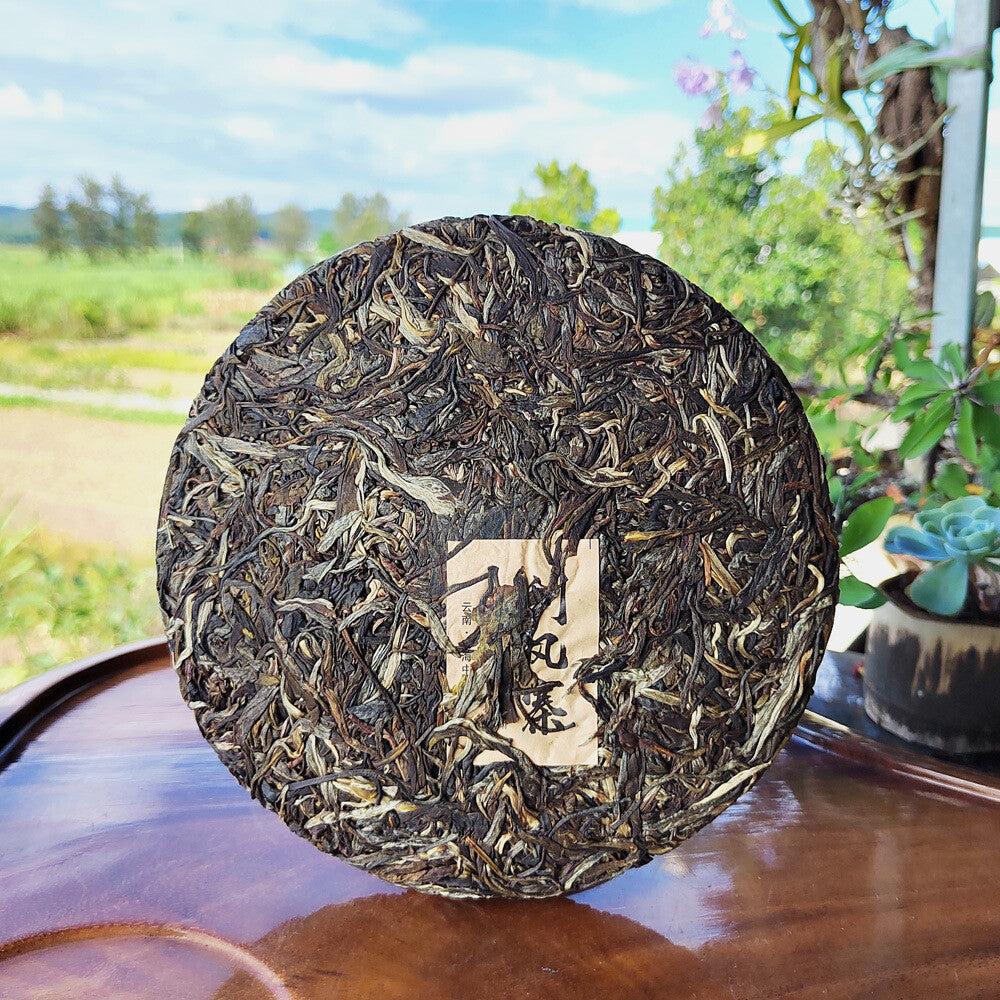 Ancient tree tea Yi Wu Pu 'er tea raw tea 2021 Yunnan old tree tea cake