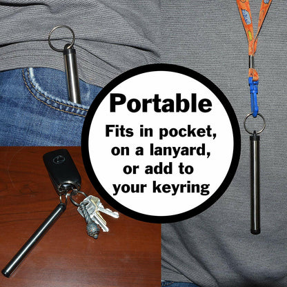 2 Pack Collapsible Metal Straws with Cleaning Brushes and Portable Keychain
