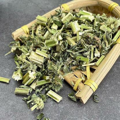 High Quality Motherwort, Leonurus Cardiaca, Leenurus Heterophyllus Herbal Tea