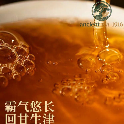 400g 1999 Yunnan Song Pin Hao Yiwu Mountain Ancient Tree Pu-erh Raw Pu'er Tea