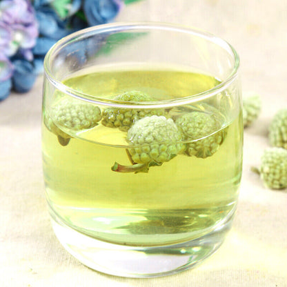 Wild Scindapsus Aureus Flowers Natural Himalayan Tibetan Herbal Tea