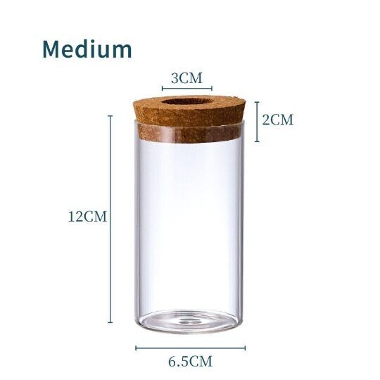 Glass Decorative Vase Hydroponic Glass Bottle Hydroponic Ecological Bottle