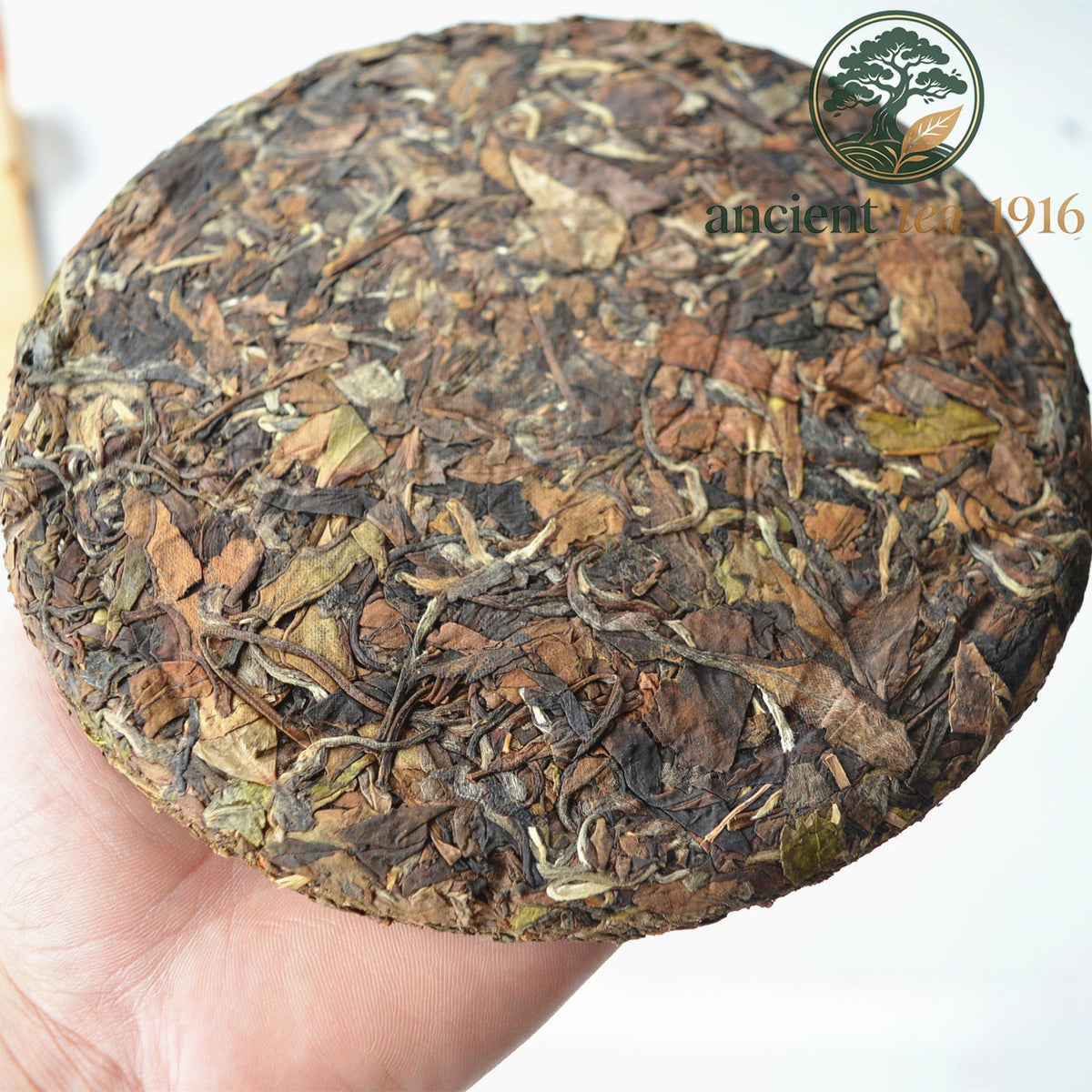 350g White Tea Cake Premium Aged Fuding Shou Mei Long Life Eyebrow Tea