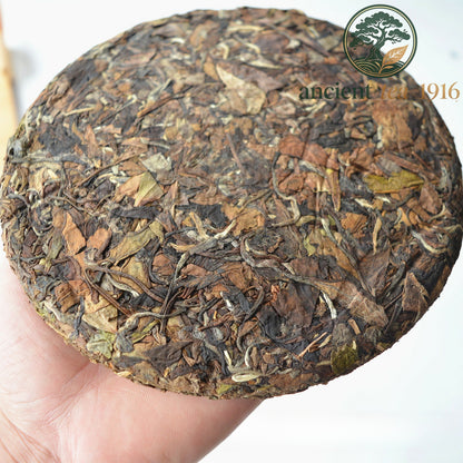 350g White Tea Cake Premium Aged Fuding Shou Mei Long Life Eyebrow Tea