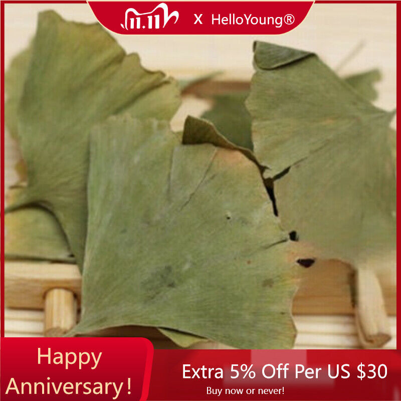 Health Care Ginkgo Biloba Leaves Tea Chinese Ginkgo Ecology Herbal Tea-
