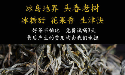 New tea Yunnan Puerh tea raw tea loose tea Mingqian first spring tea 100g