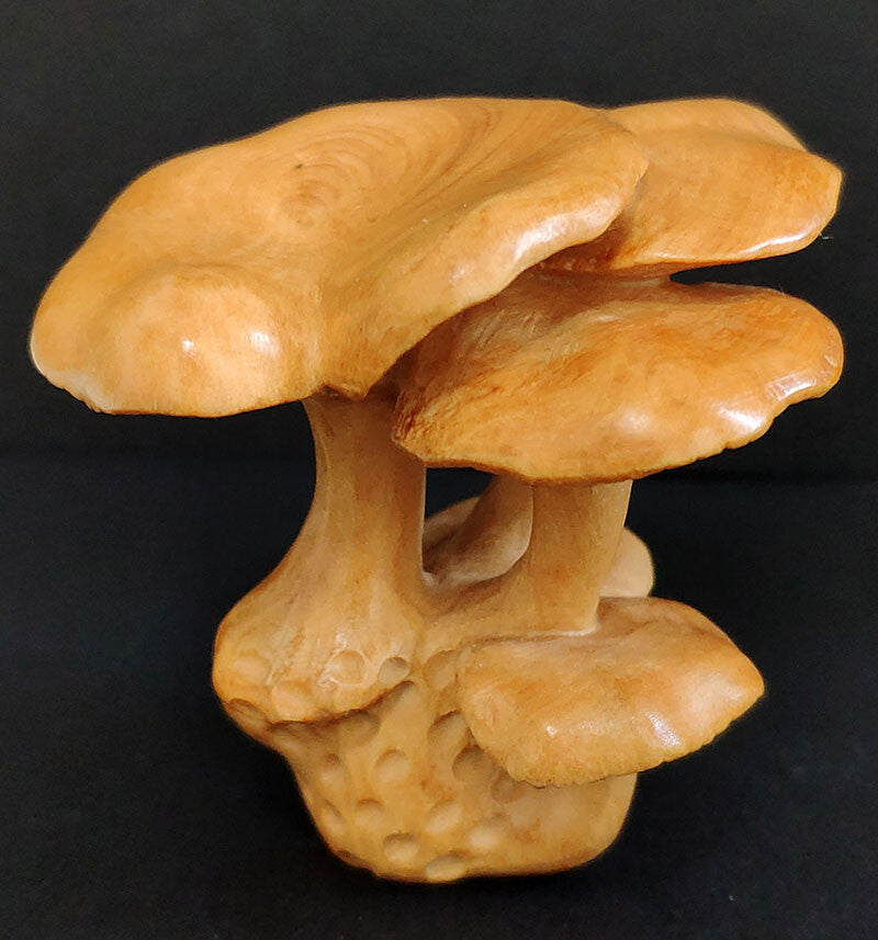 Chinese wood Hand Carved Boxwood Netsuke - Beautiful Mushroom hand piece gift