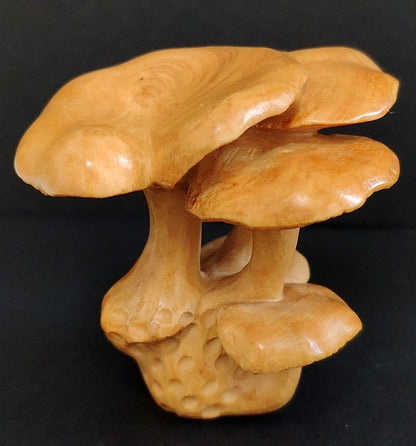 Chinese wood Hand Carved Boxwood Netsuke - Beautiful Mushroom hand piece gift