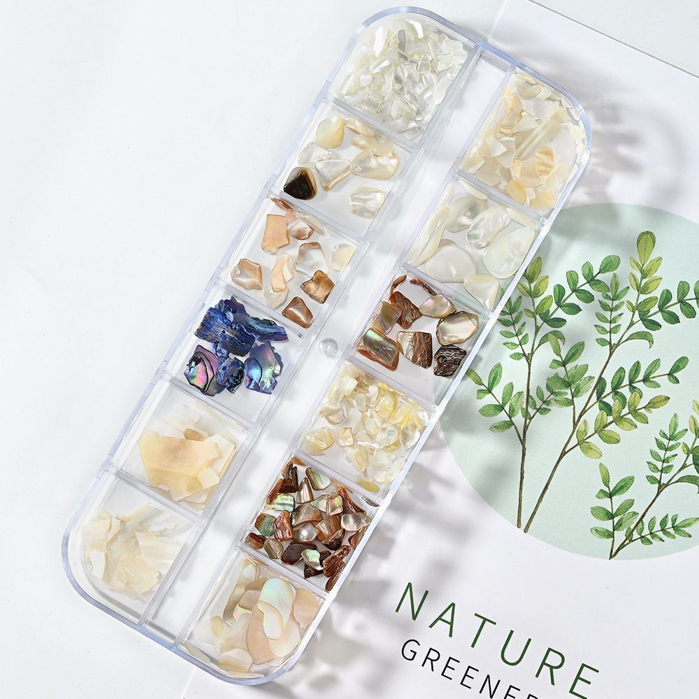 Nail Art Decor 3D Irregular Abalone Natural Sea Shell Stones DIY Accessory 1 Box