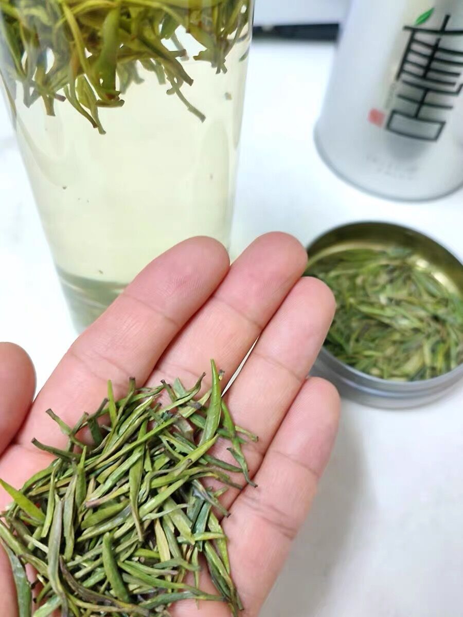 Ming Qian Silver Jar Que She Queshe Sparrow's Tongue Chinese Green Tea 100g -