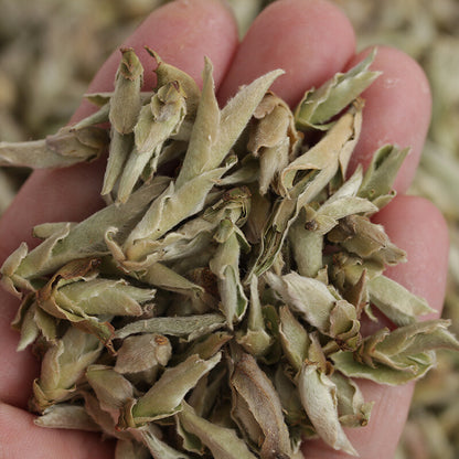 Yunnan White Bud Pu-erh Tea Bai Ya Bao Sheng Puerh Loose Leaf Raw Puer Yabao