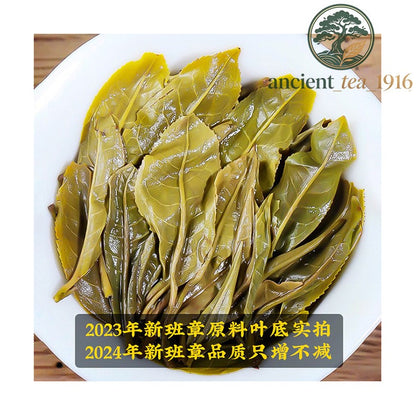 357g Yunnan Pu Erh Tea Cake Ban Zhang Ancient Tree Spring Tea Raw Tea Cake