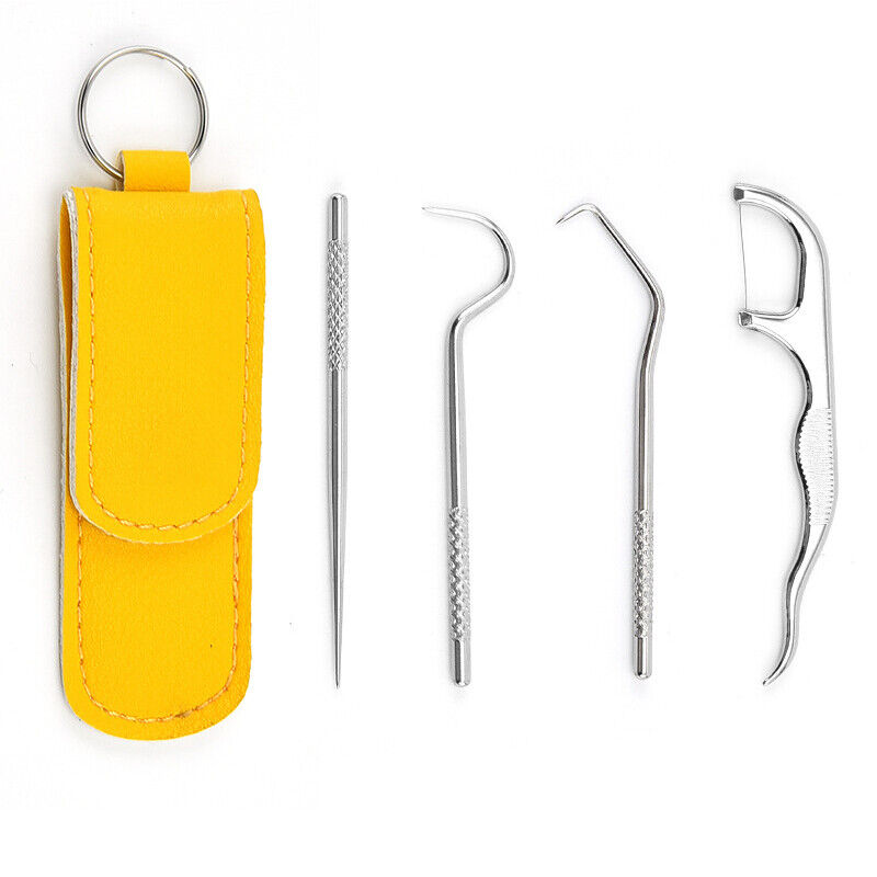 Metal Toothpick Floss With Storage Bag Stainless Steel Teeth Cleaning Oral Care*
